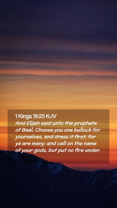 Picture 02 - 1 Kings 18:25 KJV Mobile Phone Wallpaper - And Elijah said unto the prophets of Baal, Choose - Mobile Bible Verse Wallpaper