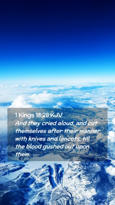 Picture 02 - 1 Kings 18:28 KJV Mobile Phone Wallpaper - And they cried aloud, and cut themselves after - Mobile Bible Verse Wallpaper