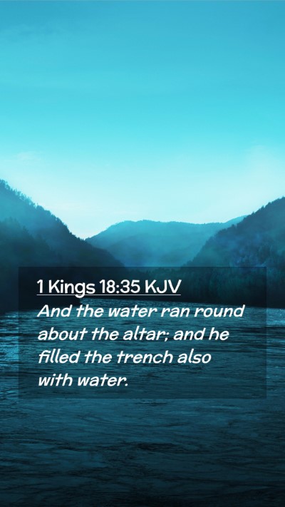 Picture 02 - 1 Kings 18:35 KJV Mobile Phone Wallpaper - And the water ran round about the altar; and he - Mobile Bible Verse Wallpaper