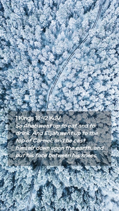 Picture 02 - 1 Kings 18:42 KJV Mobile Phone Wallpaper - So Ahab went up to eat and to drink. And Elijah - Mobile Bible Verse Wallpaper