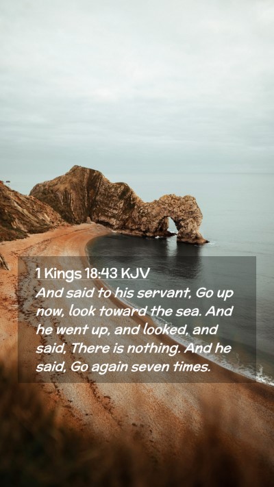 Picture 02 - 1 Kings 18:43 KJV Mobile Phone Wallpaper - And said to his servant, Go up now, look toward - Mobile Bible Verse Wallpaper