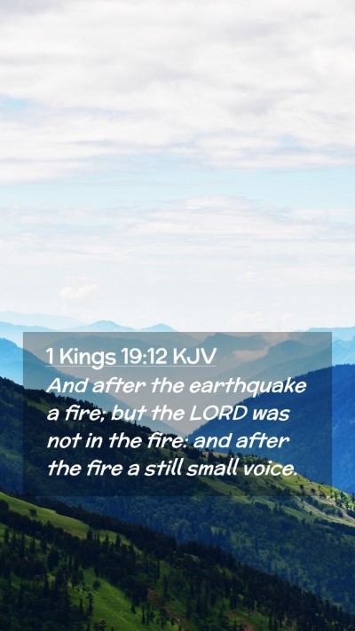 Picture 02 - 1 Kings 19:12 KJV Mobile Phone Wallpaper - And after the earthquake a fire; but the LORD was - Mobile Bible Verse Wallpaper