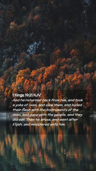 Picture 02 - 1 Kings 19:21 KJV Mobile Phone Wallpaper - And he returned back from him, and took a yoke of - Mobile Bible Verse Wallpaper