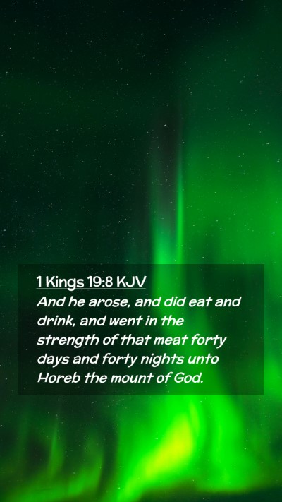 Picture 02 - 1 Kings 19:8 KJV Mobile Phone Wallpaper - And he arose, and did eat and drink, and went in - Mobile Bible Verse Wallpaper