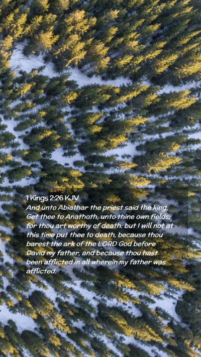 Picture 02 - 1 Kings 2:26 KJV Mobile Phone Wallpaper - And unto Abiathar the priest said the king, Get - Mobile Bible Verse Wallpaper