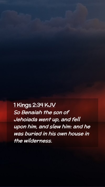 Picture 02 - 1 Kings 2:34 KJV Mobile Phone Wallpaper - So Benaiah the son of Jehoiada went up, and fell - Mobile Bible Verse Wallpaper