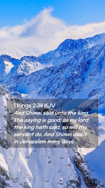 Picture 02 - 1 Kings 2:38 KJV Mobile Phone Wallpaper - And Shimei said unto the king, The saying is - Mobile Bible Verse Wallpaper
