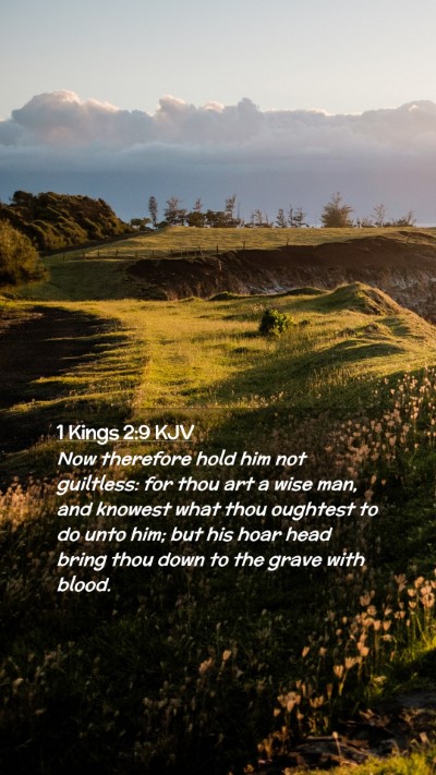 Picture 02 - 1 Kings 2:9 KJV Mobile Phone Wallpaper - Now therefore hold him not guiltless: for thou - Mobile Bible Verse Wallpaper