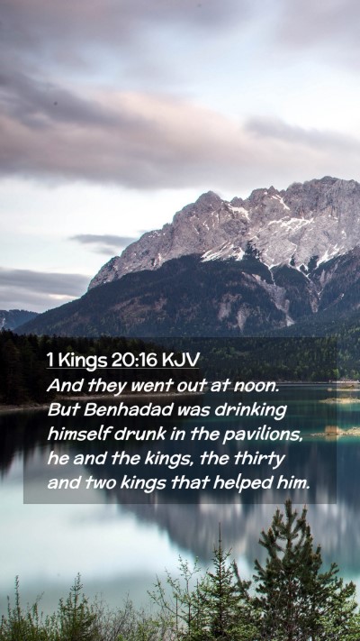 Picture 02 - 1 Kings 20:16 KJV Mobile Phone Wallpaper - And they went out at noon. But Benhadad was - Mobile Bible Verse Wallpaper