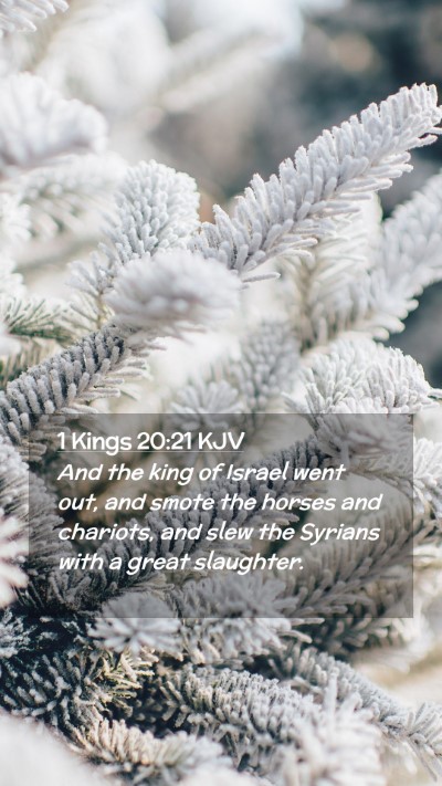 Picture 02 - 1 Kings 20:21 KJV Mobile Phone Wallpaper - And the king of Israel went out, and smote the - Mobile Bible Verse Wallpaper