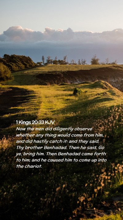 Picture 02 - 1 Kings 20:33 KJV Mobile Phone Wallpaper - Now the men did diligently observe whether any - Mobile Bible Verse Wallpaper