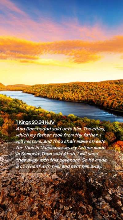 Picture 02 - 1 Kings 20:34 KJV Mobile Phone Wallpaper - And Ben-hadad said unto him, The cities, which my - Mobile Bible Verse Wallpaper