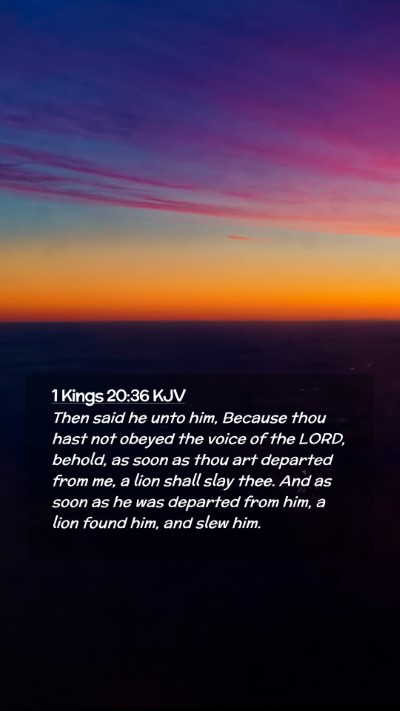 Picture 02 - 1 Kings 20:36 KJV Mobile Phone Wallpaper - Then said he unto him, Because thou hast not - Mobile Bible Verse Wallpaper