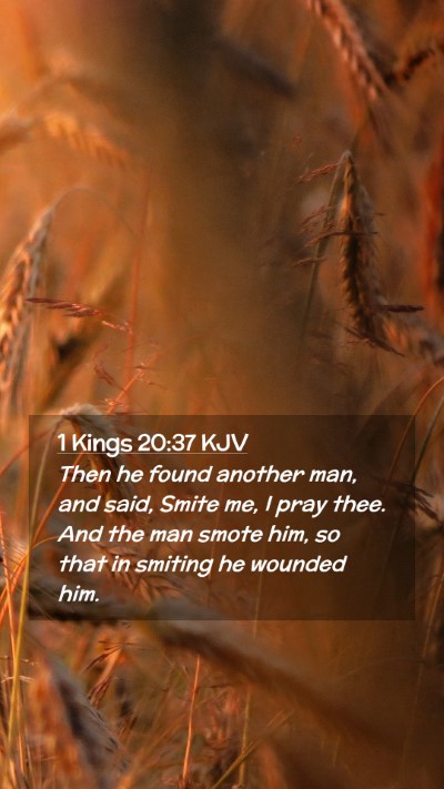 Picture 02 - 1 Kings 20:37 KJV Mobile Phone Wallpaper - Then he found another man, and said, Smite me, I - Mobile Bible Verse Wallpaper