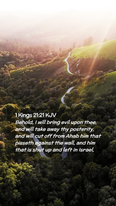 Picture 02 - 1 Kings 21:21 KJV Mobile Phone Wallpaper - Behold, I will bring evil upon thee, and will - Mobile Bible Verse Wallpaper