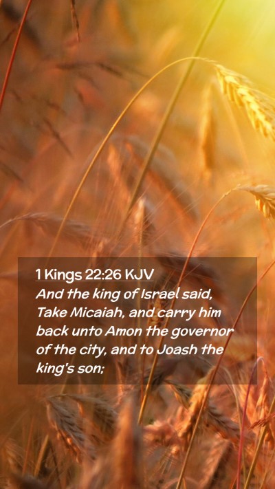 Picture 02 - 1 Kings 22:26 KJV Mobile Phone Wallpaper - And the king of Israel said, Take Micaiah, and - Mobile Bible Verse Wallpaper