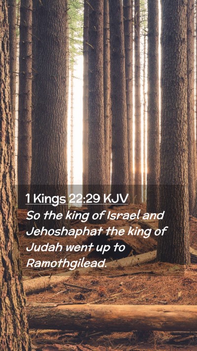 Picture 02 - 1 Kings 22:29 KJV Mobile Phone Wallpaper - So the king of Israel and Jehoshaphat the king of - Mobile Bible Verse Wallpaper