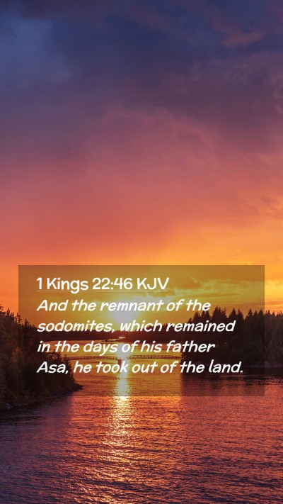 Picture 02 - 1 Kings 22:46 KJV Mobile Phone Wallpaper - And the remnant of the sodomites, which remained - Mobile Bible Verse Wallpaper