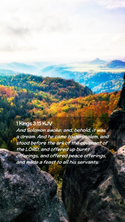 Picture 02 - 1 Kings 3:15 KJV Mobile Phone Wallpaper - And Solomon awoke; and, behold, it was a dream. - Mobile Bible Verse Wallpaper