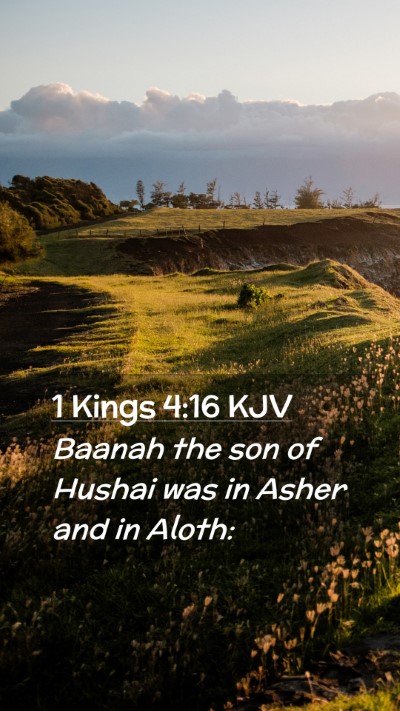 Picture 02 - 1 Kings 4:16 KJV Mobile Phone Wallpaper - Baanah the son of Hushai was in Asher and in - Mobile Bible Verse Wallpaper
