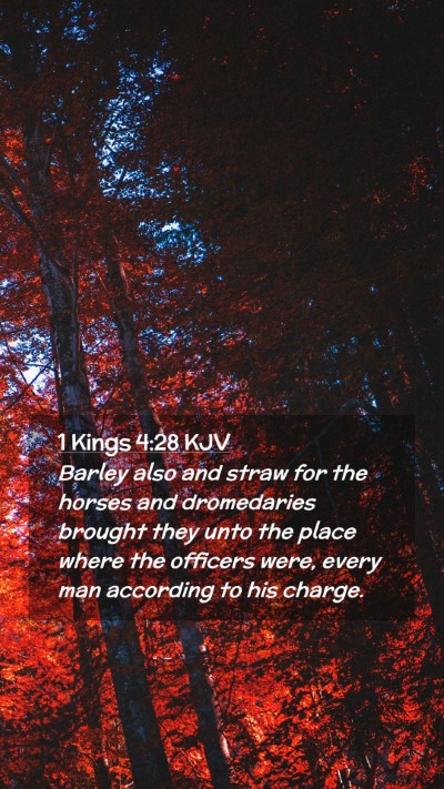 Picture 02 - 1 Kings 4:28 KJV Mobile Phone Wallpaper - Barley also and straw for the horses and - Mobile Bible Verse Wallpaper
