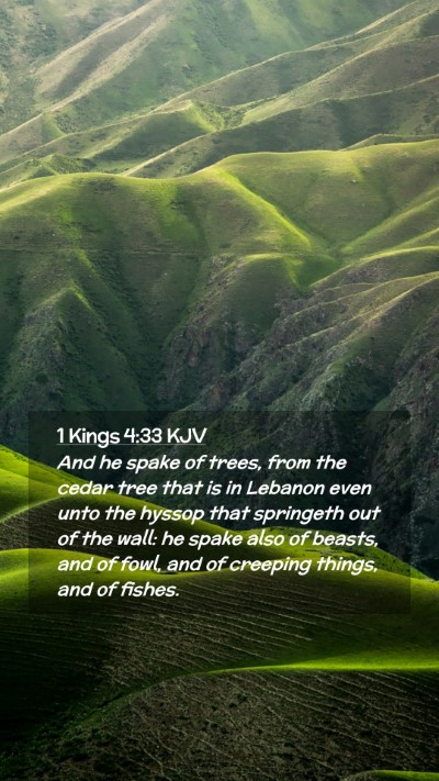 Picture 02 - 1 Kings 4:33 KJV Mobile Phone Wallpaper - And he spake of trees, from the cedar tree that - Mobile Bible Verse Wallpaper