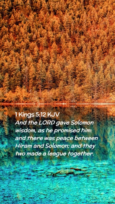 Picture 02 - 1 Kings 5:12 KJV Mobile Phone Wallpaper - And the LORD gave Solomon wisdom, as he promised - Mobile Bible Verse Wallpaper