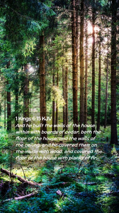 Picture 02 - 1 Kings 6:15 KJV Mobile Phone Wallpaper - And he built the walls of the house within with - Mobile Bible Verse Wallpaper