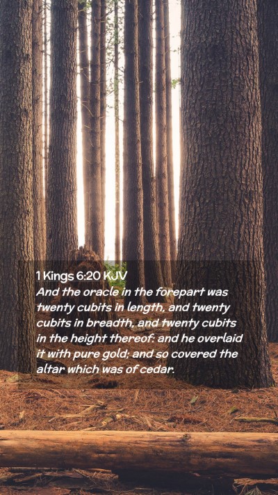 Picture 02 - 1 Kings 6:20 KJV Mobile Phone Wallpaper - And the oracle in the forepart was twenty cubits - Mobile Bible Verse Wallpaper