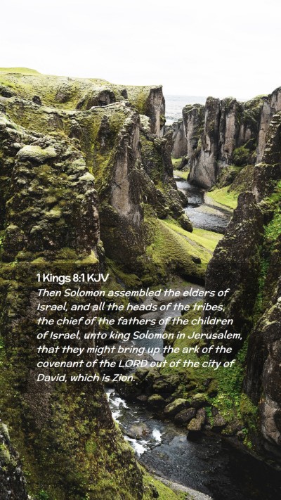 Picture 02 - 1 Kings 8:1 KJV Mobile Phone Wallpaper - Then Solomon assembled the elders of Israel, and - Mobile Bible Verse Wallpaper