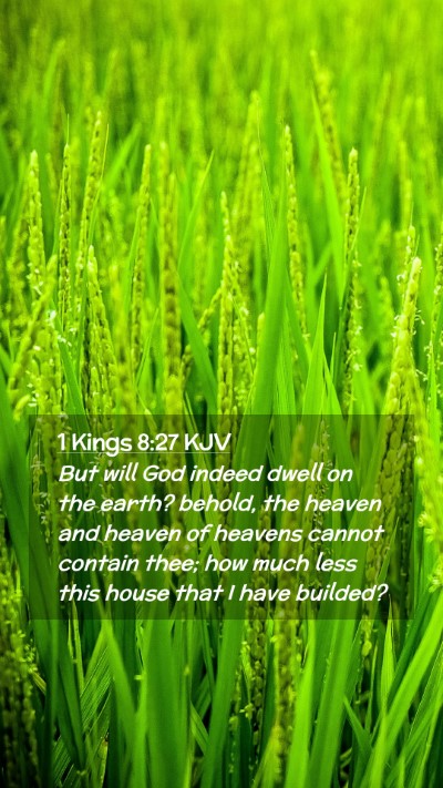 Picture 02 - 1 Kings 8:27 KJV Mobile Phone Wallpaper - But will God indeed dwell on the earth? behold, - Mobile Bible Verse Wallpaper