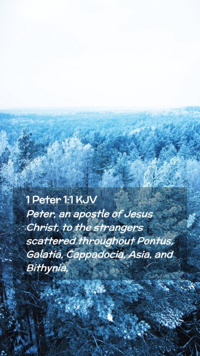 Picture 02 - 1 Peter 1:1 KJV Mobile Phone Wallpaper - Peter, an apostle of Jesus Christ, to the - Mobile Bible Verse Wallpaper