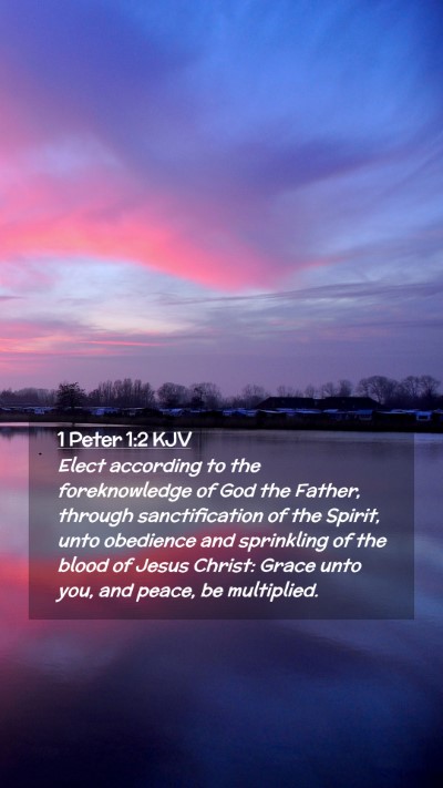 Picture 02 - 1 Peter 1:2 KJV Mobile Phone Wallpaper - Elect according to the foreknowledge of God the - Mobile Bible Verse Wallpaper