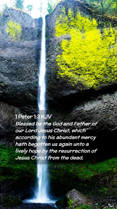 Picture 02 - 1 Peter 1:3 KJV Mobile Phone Wallpaper - Blessed be the God and Father of our Lord Jesus - Mobile Bible Verse Wallpaper