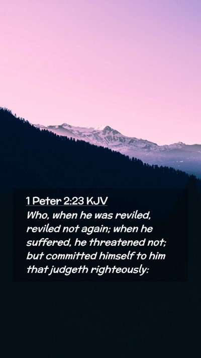 Picture 02 - 1 Peter 2:23 KJV Mobile Phone Wallpaper - Who, when he was reviled, reviled not again; when - Mobile Bible Verse Wallpaper