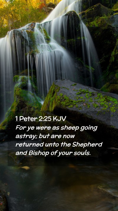 Picture 02 - 1 Peter 2:25 KJV Mobile Phone Wallpaper - For ye were as sheep going astray; but are now - Mobile Bible Verse Wallpaper