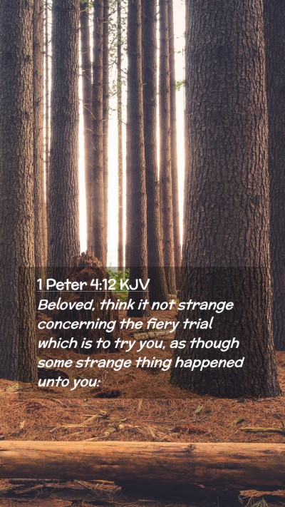 Picture 02 - 1 Peter 4:12 KJV Mobile Phone Wallpaper - Beloved, think it not strange concerning the - Mobile Bible Verse Wallpaper