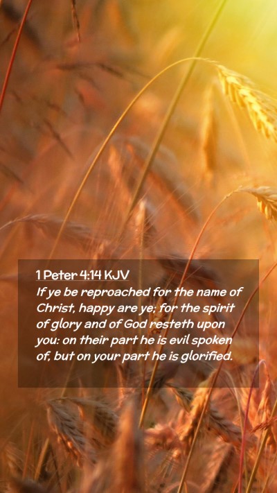 Picture 02 - 1 Peter 4:14 KJV Mobile Phone Wallpaper - If ye be reproached for the name of Christ, happy - Mobile Bible Verse Wallpaper