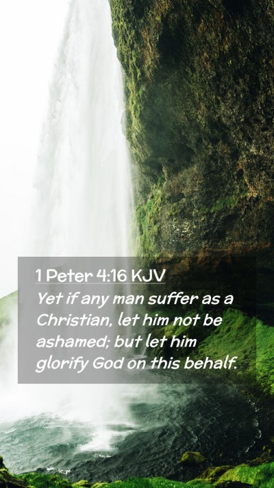 Picture 02 - 1 Peter 4:16 KJV Mobile Phone Wallpaper - Yet if any man suffer as a Christian, let him not - Mobile Bible Verse Wallpaper