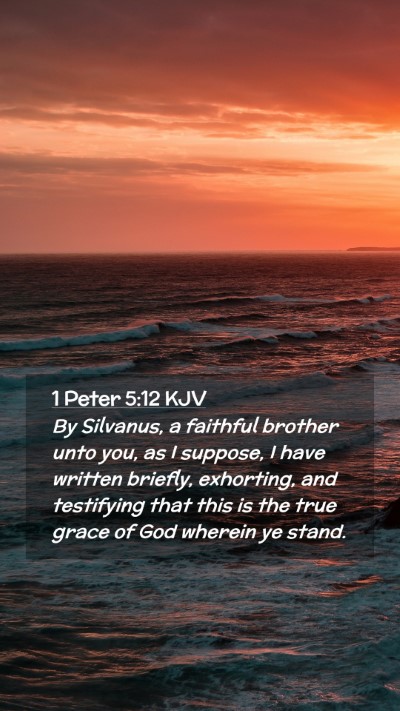 Picture 02 - 1 Peter 5:12 KJV Mobile Phone Wallpaper - By Silvanus, a faithful brother unto you, as I - Mobile Bible Verse Wallpaper