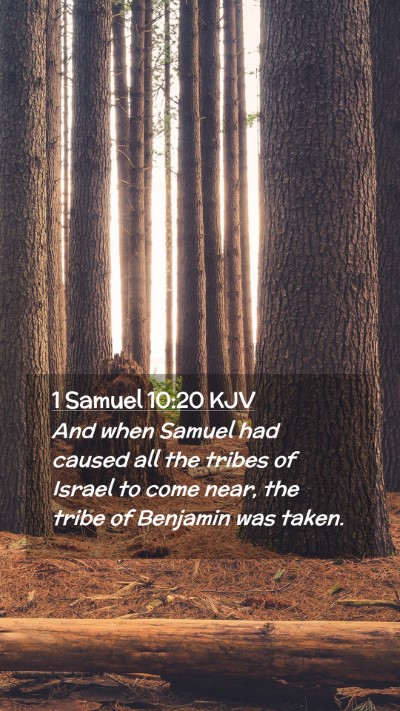 Picture 02 - 1 Samuel 10:20 KJV Mobile Phone Wallpaper - And when Samuel had caused all the tribes of - Mobile Bible Verse Wallpaper