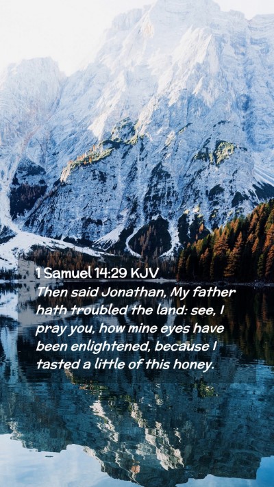 Picture 02 - 1 Samuel 14:29 KJV Mobile Phone Wallpaper - Then said Jonathan, My father hath troubled the - Mobile Bible Verse Wallpaper