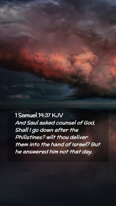 Picture 02 - 1 Samuel 14:37 KJV Mobile Phone Wallpaper - And Saul asked counsel of God, Shall I go down - Mobile Bible Verse Wallpaper