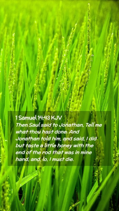 Picture 02 - 1 Samuel 14:43 KJV Mobile Phone Wallpaper - Then Saul said to Jonathan, Tell me what thou - Mobile Bible Verse Wallpaper