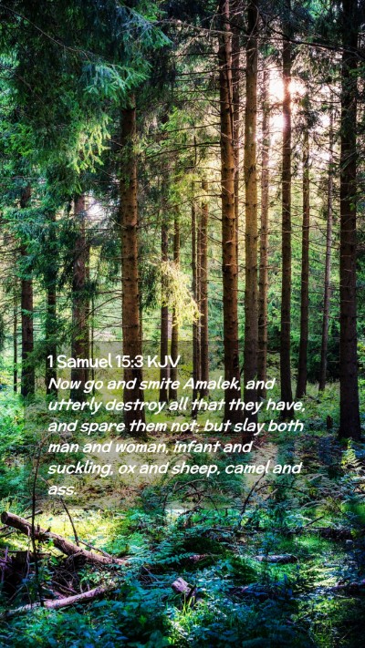 Picture 02 - 1 Samuel 15:3 KJV Mobile Phone Wallpaper - Now go and smite Amalek, and utterly destroy all - Mobile Bible Verse Wallpaper