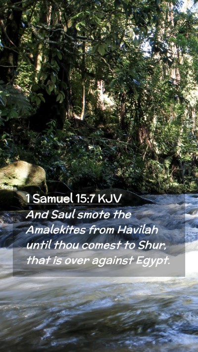 Picture 02 - 1 Samuel 15:7 KJV Mobile Phone Wallpaper - And Saul smote the Amalekites from Havilah until - Mobile Bible Verse Wallpaper