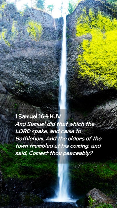Picture 02 - 1 Samuel 16:4 KJV Mobile Phone Wallpaper - And Samuel did that which the LORD spake, and - Mobile Bible Verse Wallpaper