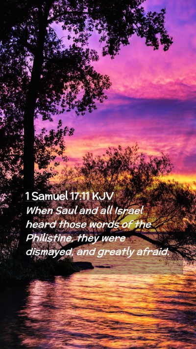 Picture 02 - 1 Samuel 17:11 KJV Mobile Phone Wallpaper - When Saul and all Israel heard those words of the - Mobile Bible Verse Wallpaper