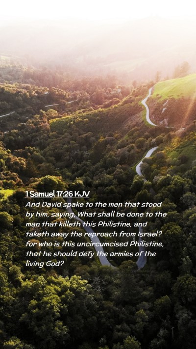 Picture 02 - 1 Samuel 17:26 KJV Mobile Phone Wallpaper - And David spake to the men that stood by him, - Mobile Bible Verse Wallpaper