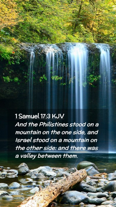 Picture 02 - 1 Samuel 17:3 KJV Mobile Phone Wallpaper - And the Philistines stood on a mountain on the - Mobile Bible Verse Wallpaper